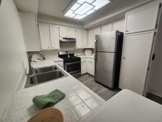 Photo #4: 250026809 Listing