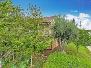 Photo #3: 250026814 Listing 