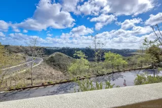 Photo #6: 250026832 Listing