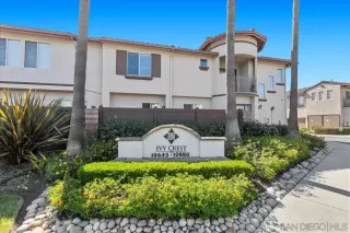 Photo #5: 250026845 Listing 