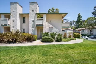 Photo #1: 250026849 Listing 