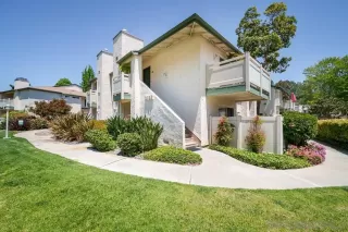 Photo #2: 250026849 Listing 
