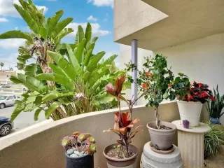 Photo #6: 250026929 Listing 