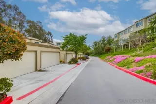 Photo #2: 250026971 Listing