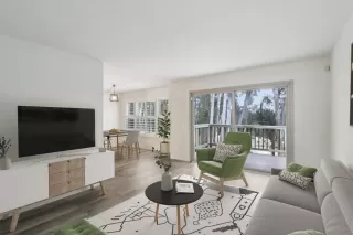 Photo #3: 250027001 Listing 