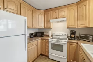 Photo #2: 250027052 Listing