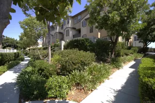 Photo #2: 250027160 Listing