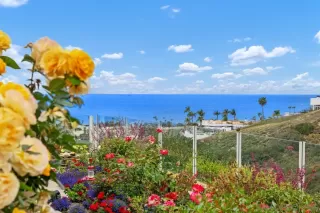 Photo #2: 250027216 Listing 