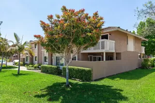 Photo #1: 250027244 Listing