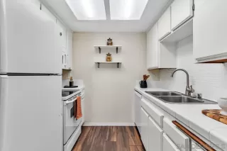 Photo #1: 250027262 Listing 