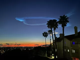 Photo #3: 250027441 Listing