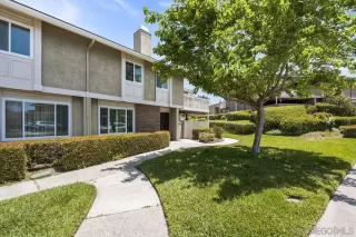 Photo #5: 250027546 Listing