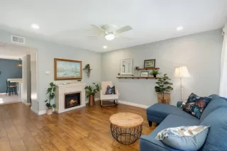 Photo #1: 250027619 Listing 