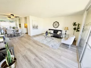 Photo #1: 250027644 Listing