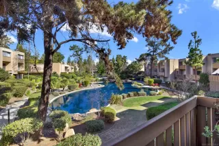 Photo #1: 250027647 Listing