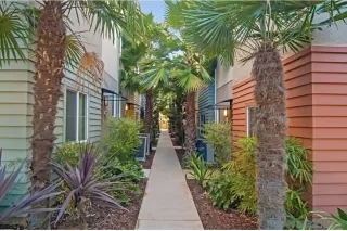 Photo #4: 250027732 Listing