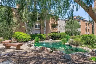 Photo #1: 250027762 Listing