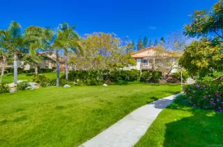 Photo #1: 250027801 Listing