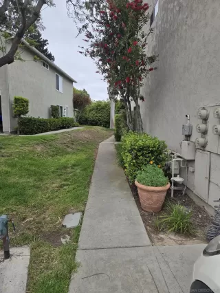 Photo #2: 250027852 Listing 