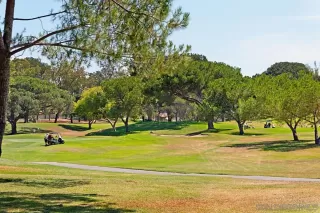 Photo #1: 250028200 Listing