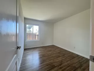 Photo #5: 250028220 Listing