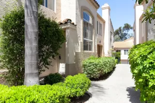 Photo #1: 250028235 Listing 