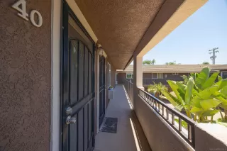 Photo #1: 250028239 Listing 