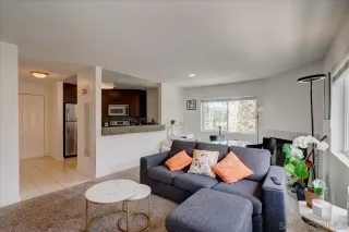 Photo #1: 250028330 Listing 