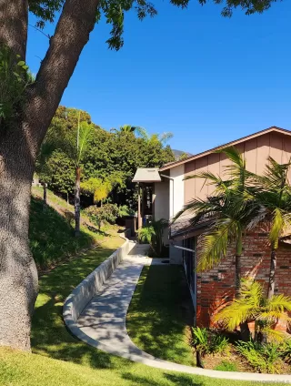 Photo #1: 250028344 Listing