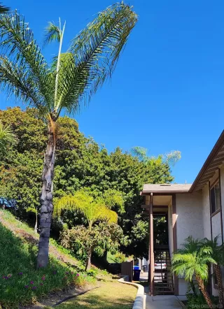 Photo #2: 250028344 Listing