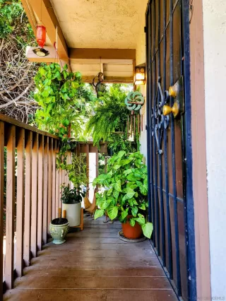 Photo #4: 250028344 Listing