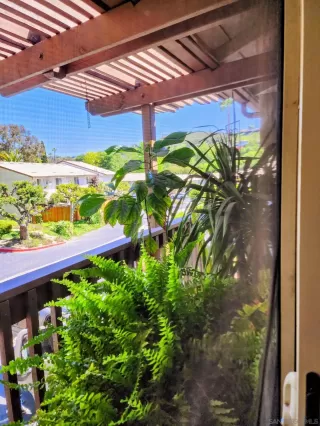 Photo #6: 250028344 Listing