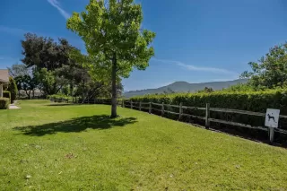 Photo #2: 250028416 Listing