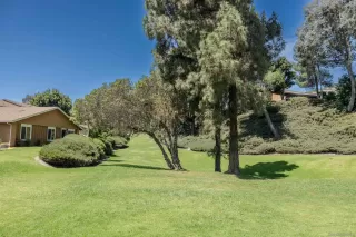 Photo #3: 250028416 Listing