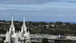 Photo #1: 250028575 Listing