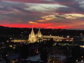 Photo #3: 250028575 Listing