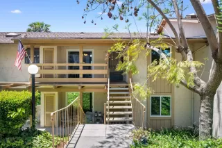 Photo #1: 250028668 Listing