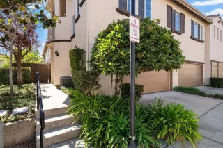 Photo #1: 250028833 Listing 