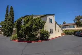 Photo #1: 250029054 Listing 