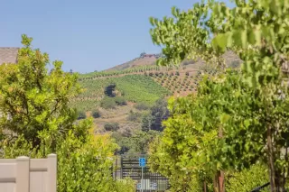 Photo #2: 250029340 Listing