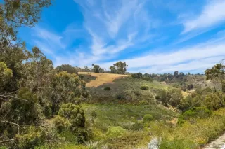 Photo #6: 250029525 Listing 