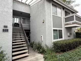 Photo #1: 250029594 Listing