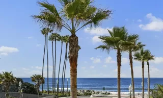 Photo #6: 250029626 Listing