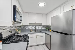 Photo #5: 250029636 Listing