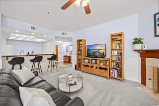 Photo #5: 250029801 Listing 