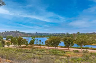 Photo #1: 250029813 Listing 