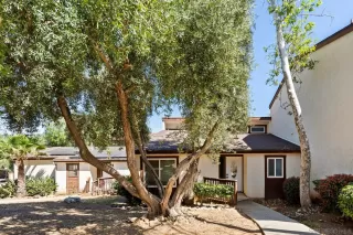 Photo #1: 250029903 Listing 