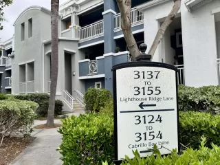 Photo #2: 250029952 Listing