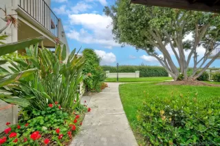 Photo #1: 250029994 Listing