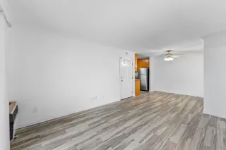 Photo #5: 250030051 Listing